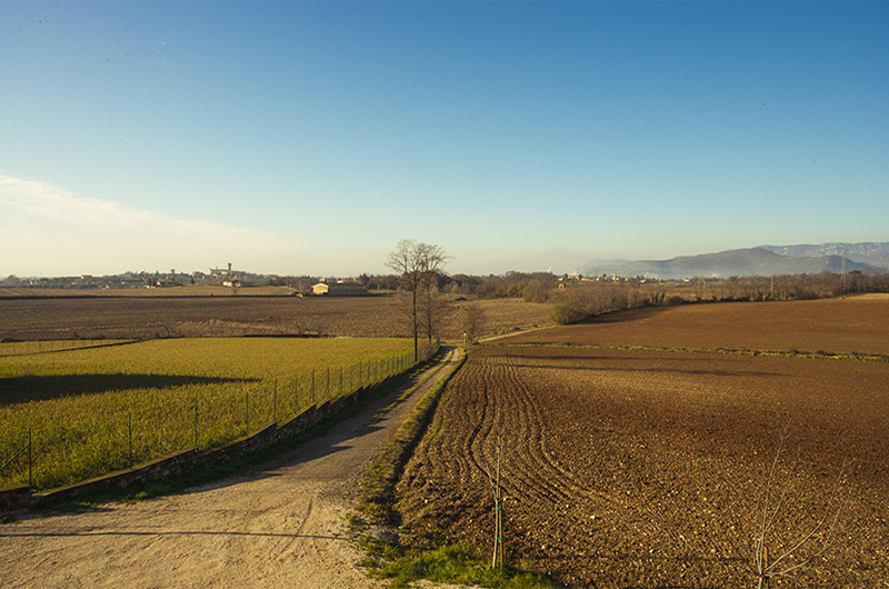 Notre région